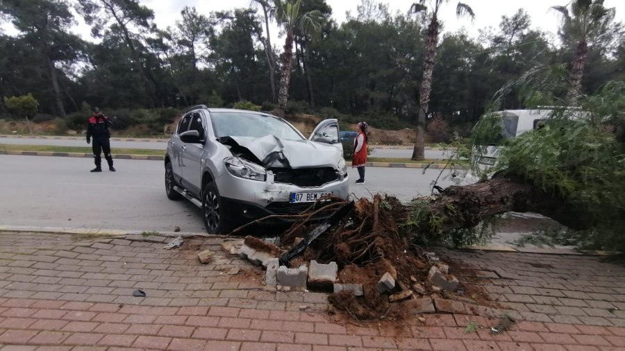 Kontrolden Çıkan Araç Kaldırımdaki Ağacı Yerinden Söktü: 1 Yaralı