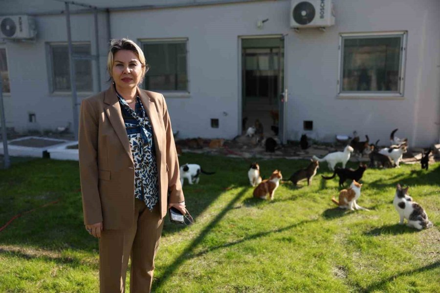 Antalya’da Can Dostlar Yeni Yuvalarına Kavuştu