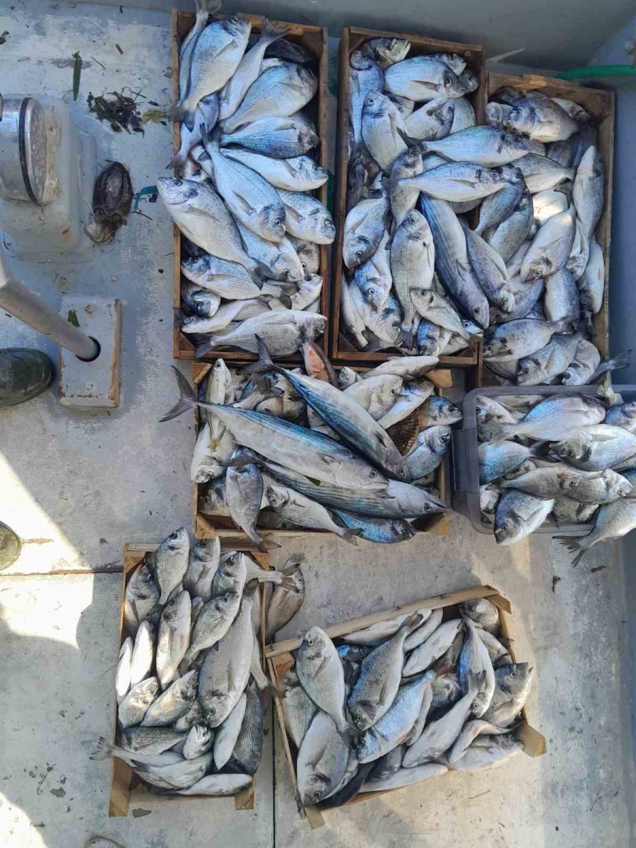 Antalya’da Fırtına Balık Üretim Çiftliğini Vurdu, Oltasını Alan Sahile Koştu