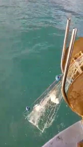 Antalya’da Fırtına Balık Üretim Çiftliğini Vurdu, Oltasını Alan Sahile Koştu