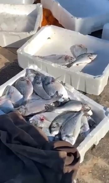 Antalya’da Fırtına Balık Üretim Çiftliğini Vurdu, Oltasını Alan Sahile Koştu