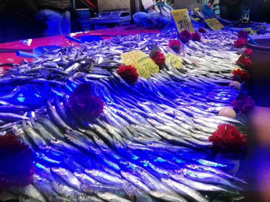 Hamside Bolluk Başladı, Fiyatlar Düştü