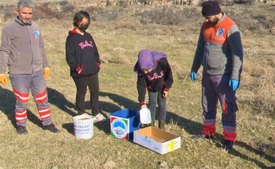 Melikgazi Belediyesi Ve Öğrenciler Sokak Hayvanlarına Mama Dağıttı