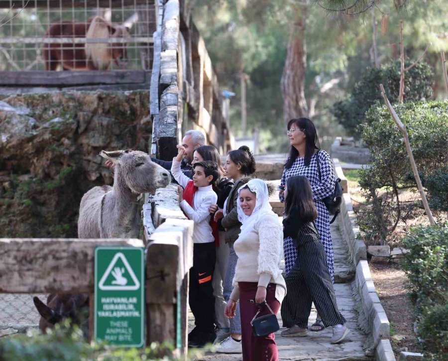 127 Türde Hayvana Ev Sahipliğini Yapan Yaşam Parkına Yoğun İlgi