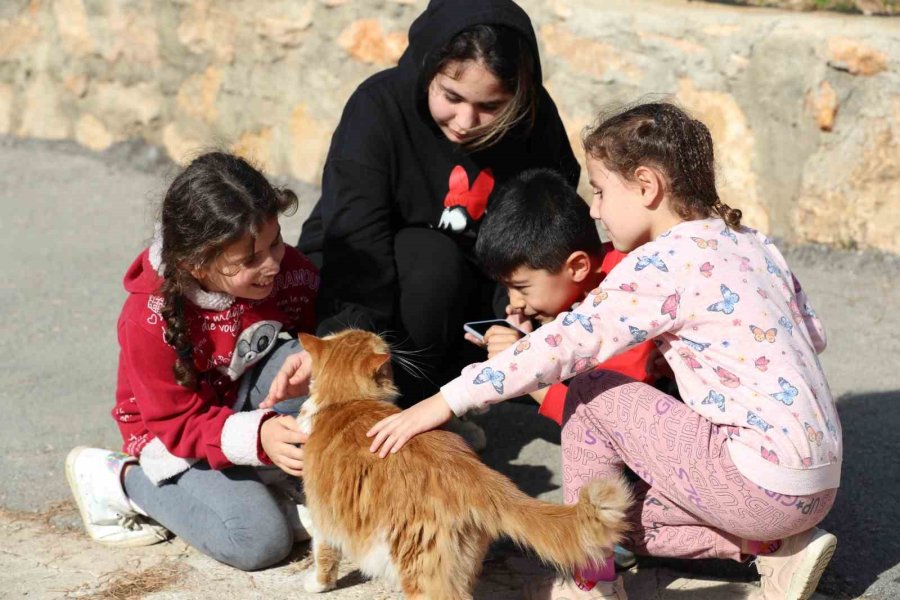 127 Türde Hayvana Ev Sahipliğini Yapan Yaşam Parkına Yoğun İlgi