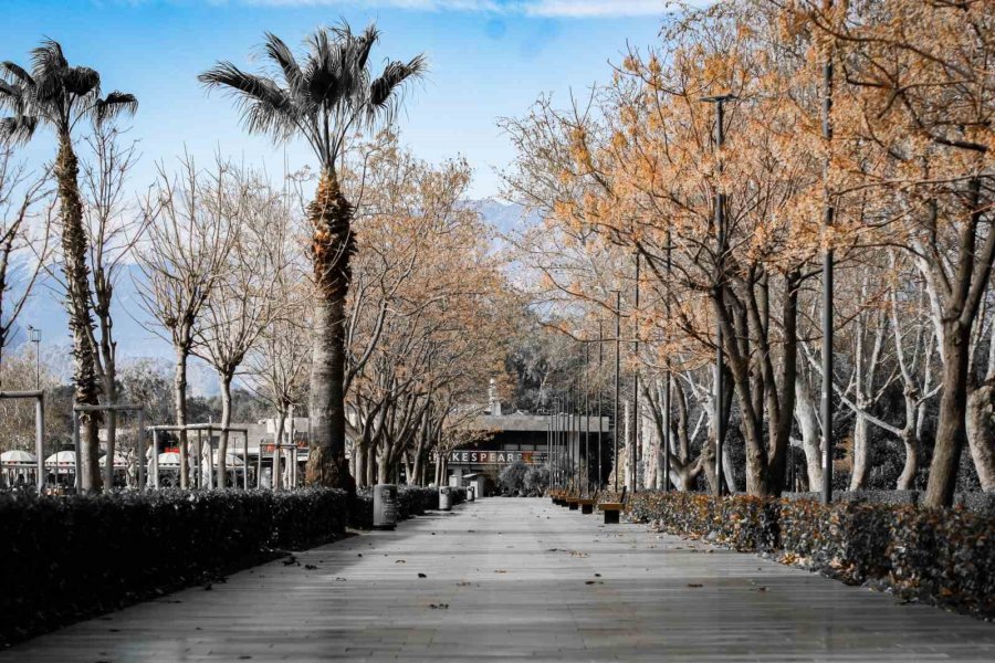 Kuzey Rüzgarları Antalya’yı Buz Kestirdi, Meteoroloji ‘don’ Uyarısı Verdi