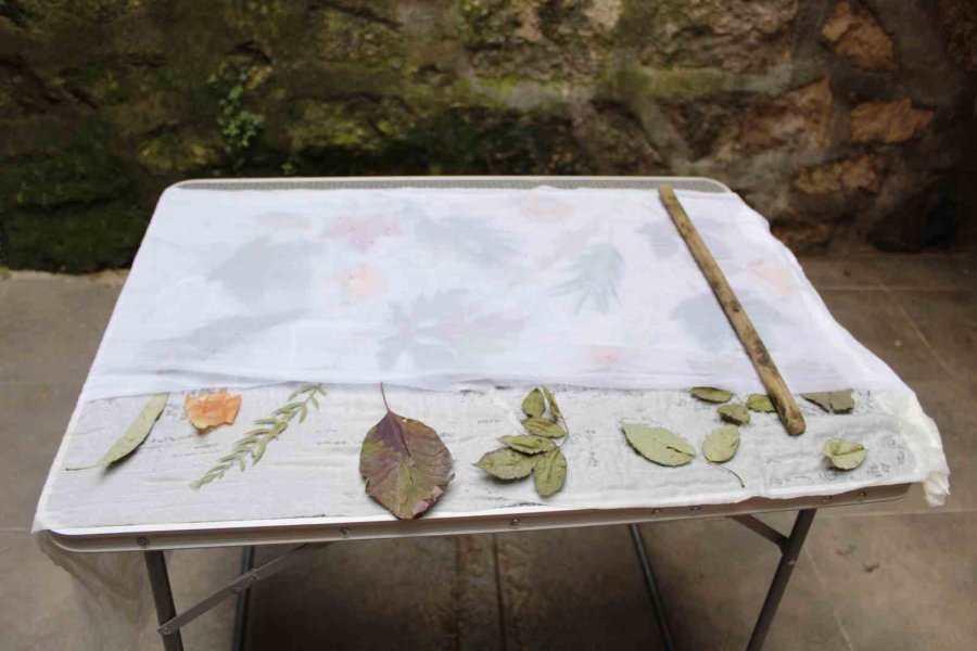 Ekoloji Baskı Ürünleriyle Doğanın İmzasını Alıyor