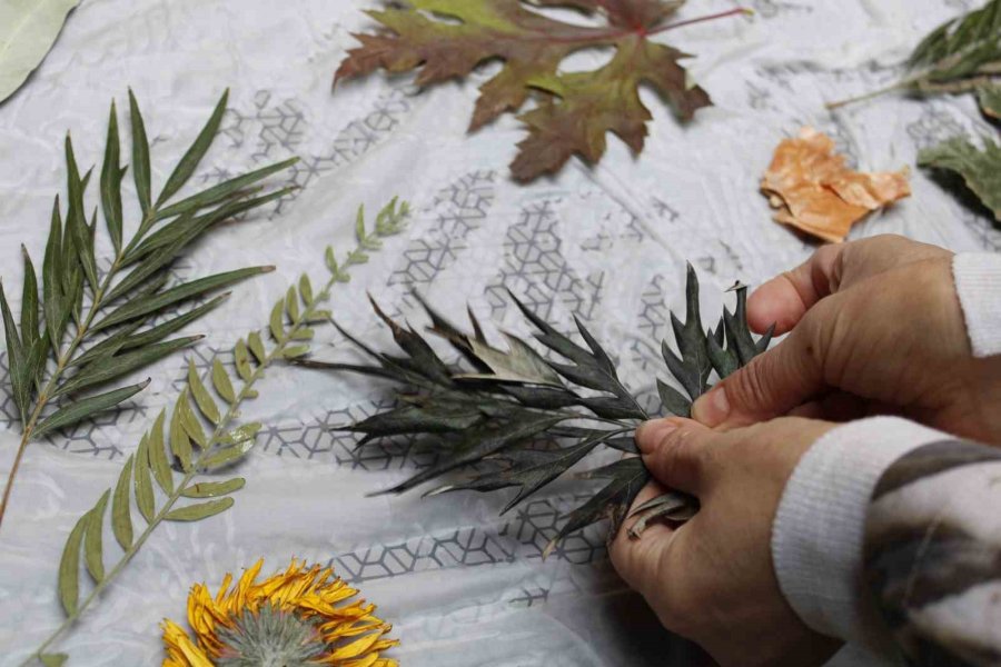 Ekoloji Baskı Ürünleriyle Doğanın İmzasını Alıyor