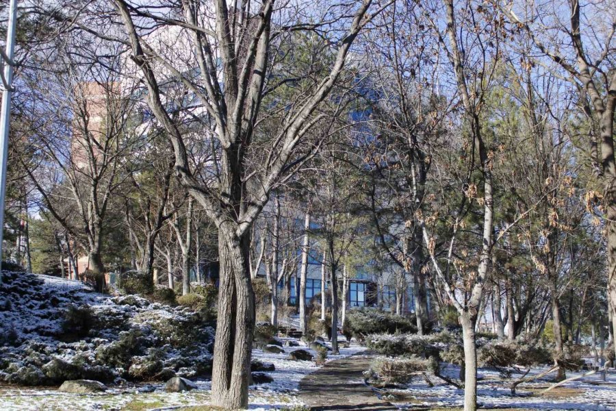 Anadolu Üniversitesi Beyaza Büründü