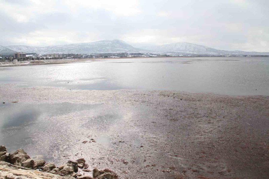 Kuraklık Tehlikesiyle Karşı Karşıya Olan Beyşehir Gölü’ne Kar Yağışı Umut Oldu
