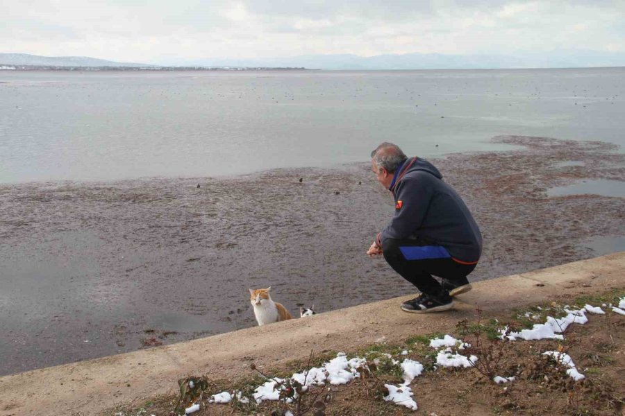 Kuraklık Tehlikesiyle Karşı Karşıya Olan Beyşehir Gölü’ne Kar Yağışı Umut Oldu