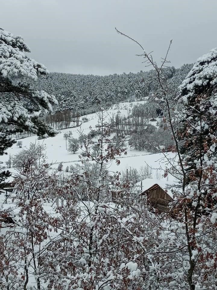 Mihalıççık’ta Geyiklerin Kar Keyfi