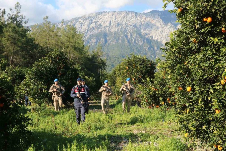 Jandarma Komandolar Narenciye Hırsızları İçin Nöbette