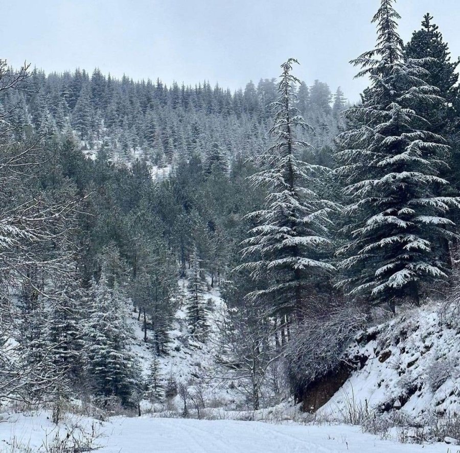 Toroslar’da Kartpostallık Manzara