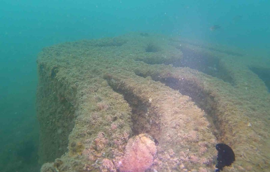 Mersin’deki Yapay Resifler Canlıların Beslenme Ve Üreme Alanı Oldu
