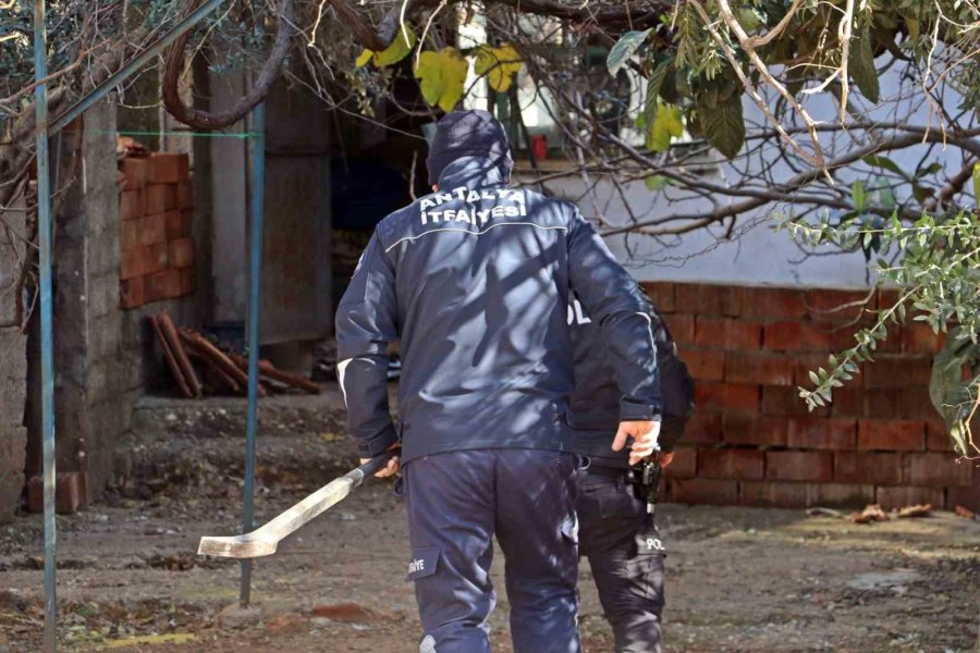 Kendini Odaya Kilitledi, Dışarı Çıkmak İçin Muhtardan "seçim Sandığı" İstedi