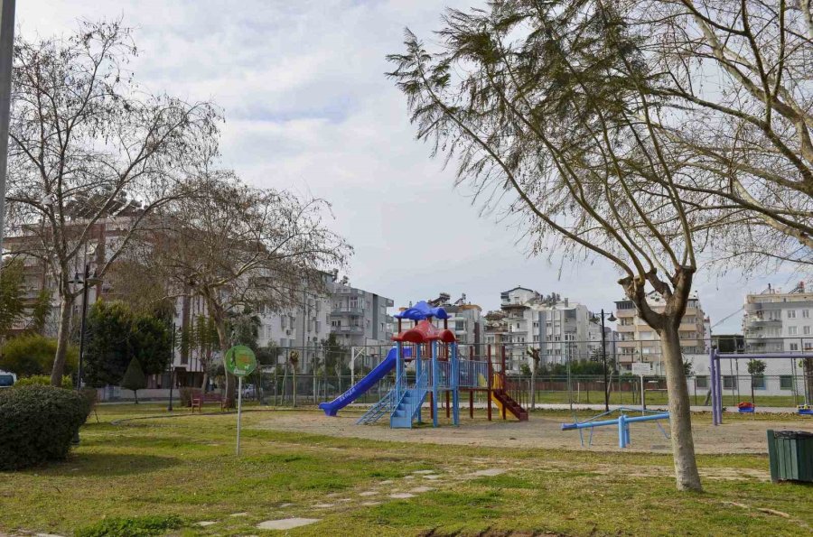 Hayatını Kaybeden Gazetecinin Adı Parka Verildi