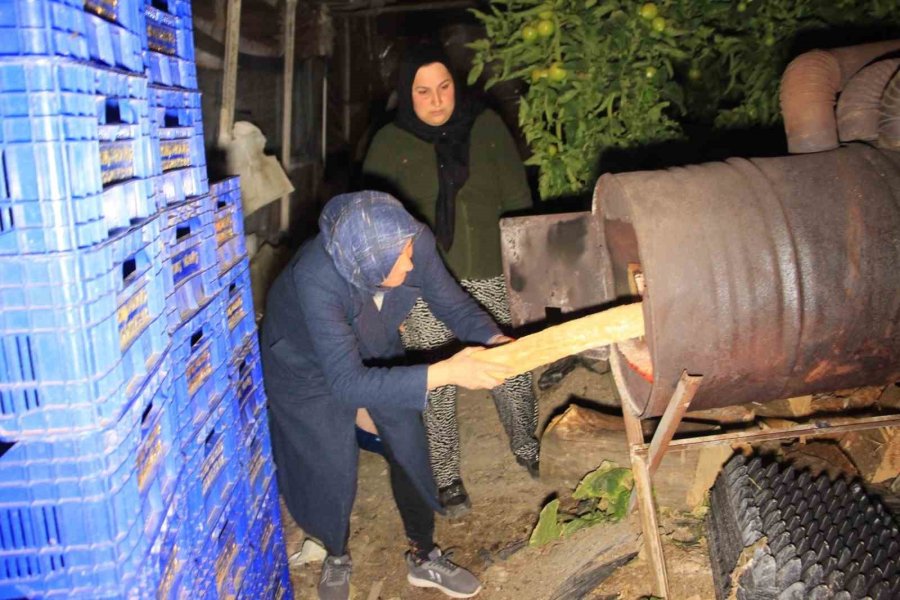 Türkiye ‘buz’ Kesti, Antalyalı Çiftçi Don Nöbetine Başladı