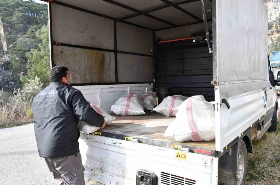 Sera Üreticilerine Ücretsiz Yakıt Desteği