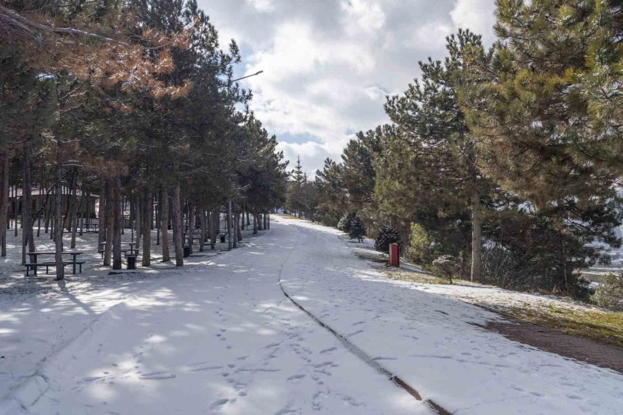 Büyükşehir, 5,5 Saatte 236 Mahalle Yolunu Ulaşıma Açtı, Kapalı Yol Bırakmadı