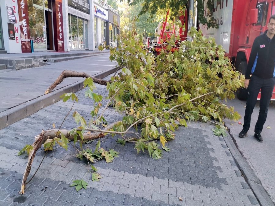 Talas’ta Zabıtadan ‘huzur’ İçin Sıkı Denetim
