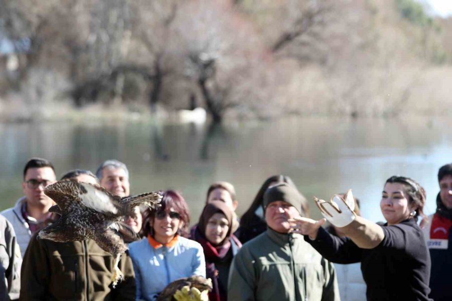 Dünya Sulak Alan Günü’nde İki Şahin Doğaya Bırakıldı