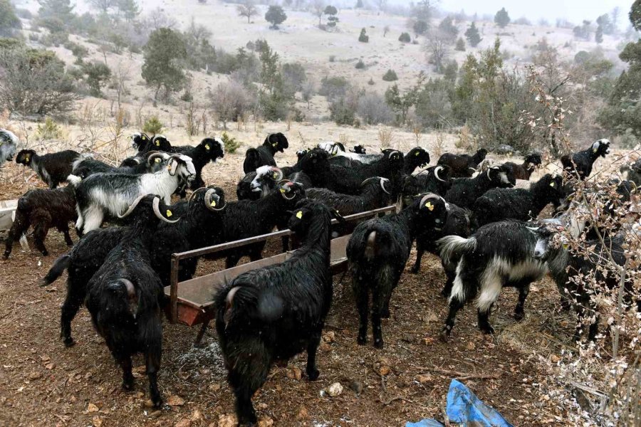 ’hadi Gel Köyümüze Destek Verelim’ Projesi İle Üretici Oldu