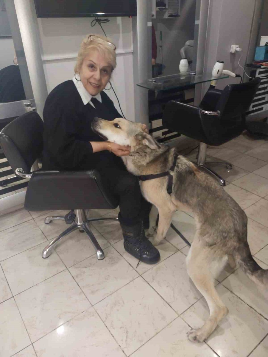 ’uyutalım’ Dedikleri Köpeği Sevgisiyle Yaşattı