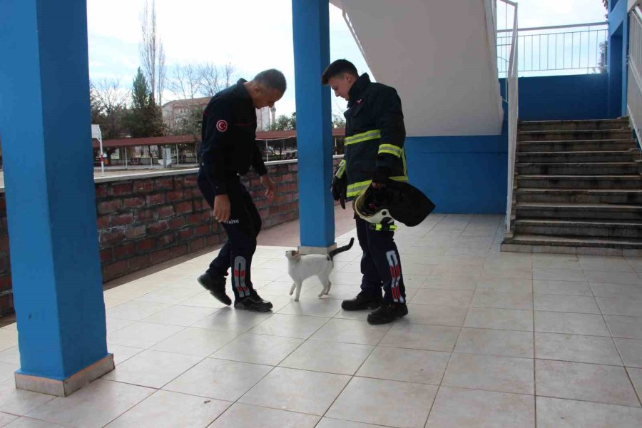 Okulun Kedisi Okulda Mahsur Kalıp Pencereye Çıktı, Ekipler Alarma Geçti