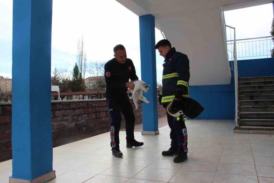 Okulun Kedisi Okulda Mahsur Kalıp Pencereye Çıktı, Ekipler Alarma Geçti