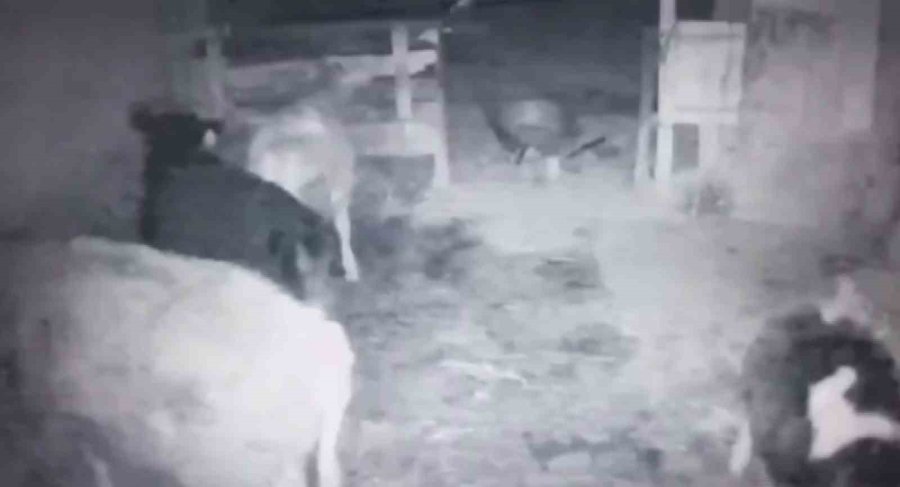 Kayseri’de Korkutan Deprem Güvenlik Kameralarına Yansıdı