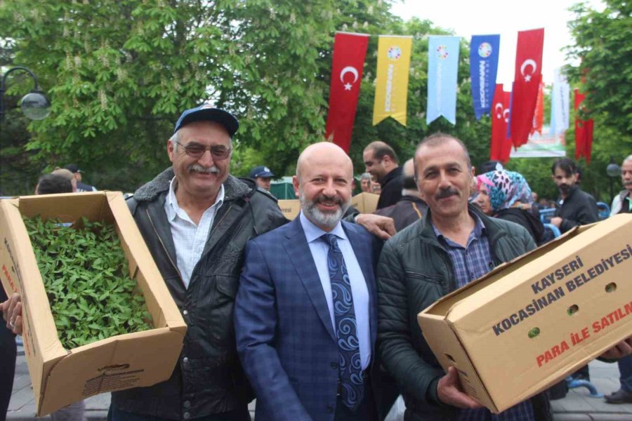 Kocasinan Belediyesi Domates Fidesi Alacak