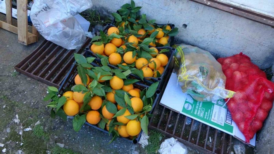 Türkiye’nin Yangında Seferber Olduğu Manavgat, Depremzedeler İçin Tek Yürek