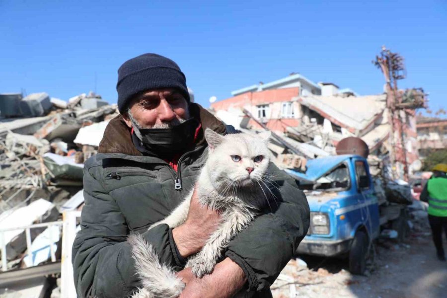 Depremde Kaybolan Kedisine 5 Gün Sonra Kavuştu, Bulan Kişinin Verdiği Cevapla Bir Kez Daha Mutlu Oldu