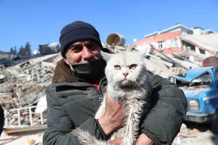 Depremde Kaybolan Kedisine 5 Gün Sonra Kavuştu, Bulan Kişinin Verdiği Cevapla Bir Kez Daha Mutlu Oldu