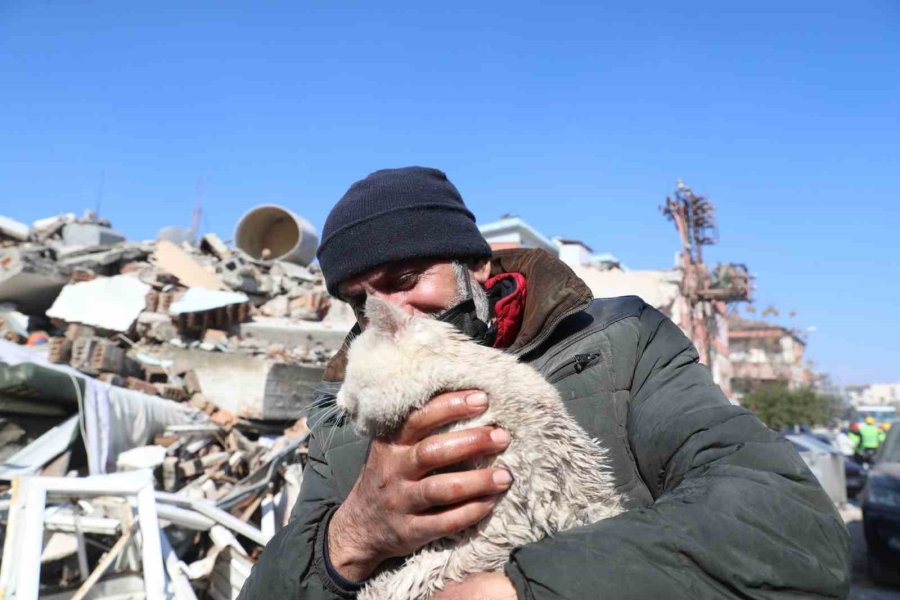 Depremde Kaybolan Kedisine 5 Gün Sonra Kavuştu, Bulan Kişinin Verdiği Cevapla Bir Kez Daha Mutlu Oldu