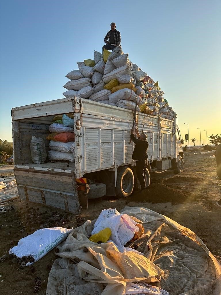 Antalya’dan Gönderilen Odunlar Afet Bölgesine Ulaştı