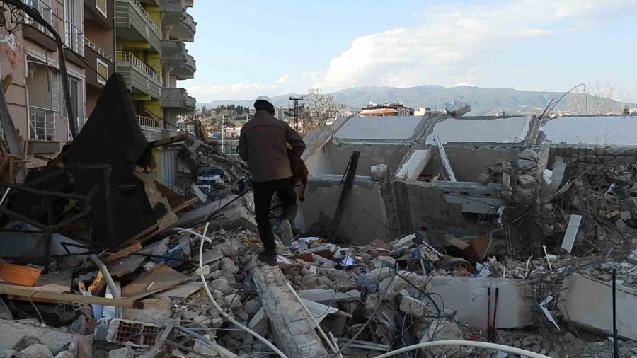 Arama Kurtarma Köpeği Tetik Tek Başına Samandağ’da 15 Can Kurtardı