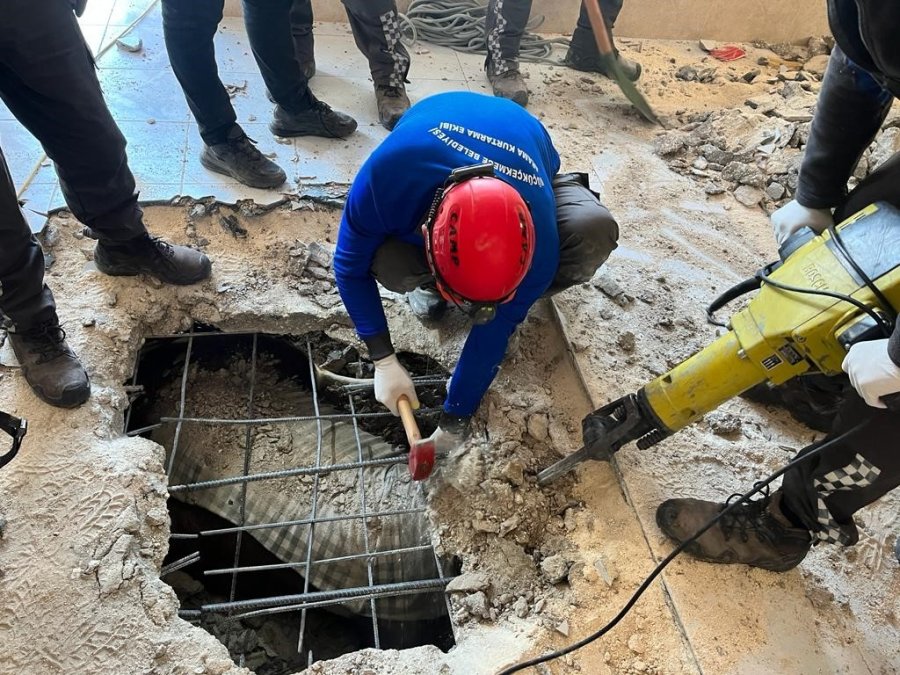 Hatay’da Enkaz Altında Kalan İnek Kurtarıldı