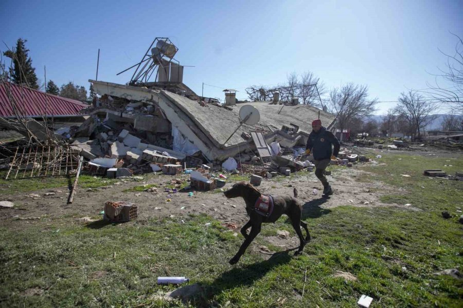 Mersin İtfaiyesi 478 Kişiyi Kurtardı