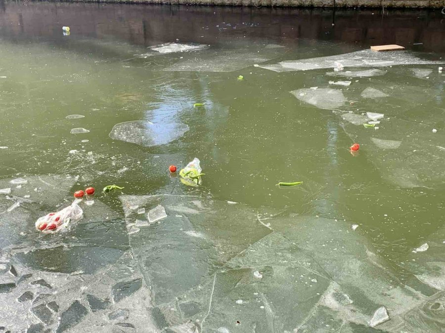 Yer Yer Donan Porsuk Çayı Çöplüğe Döndü