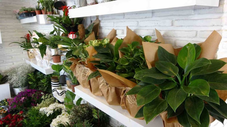 14 Şubat’ın Gelirini Depremzedelere Hediye Etti