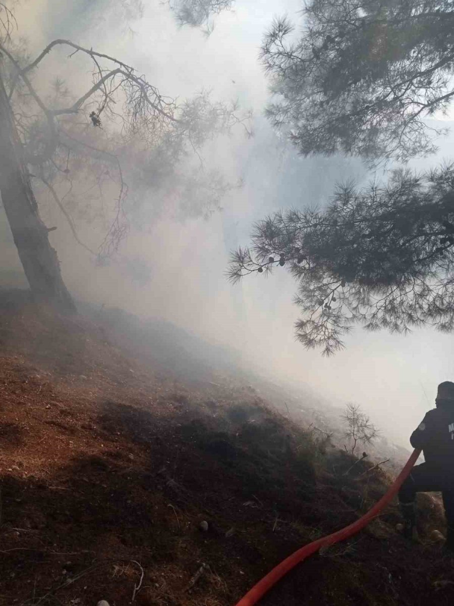 Mersin’de Orman Yangını, Kontrol Altına Alındı