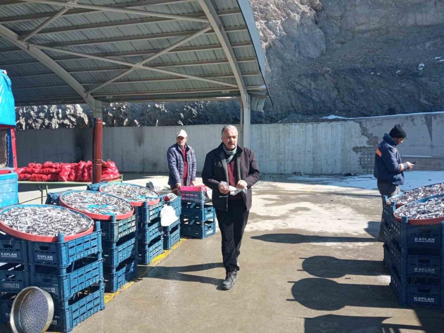 Kayserililer Depremzedeler İçin Seferber Oldu