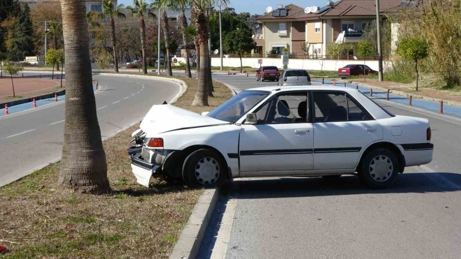 Alkolden Ehliyeti İptal Edilen Sürücü Otomobille Palmiyeye Çarptı