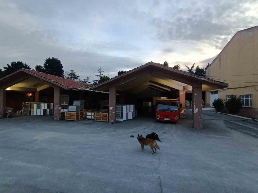 İstanbul’da Depreme Karşı Riskli Bulunan Okullar Görüntülendi