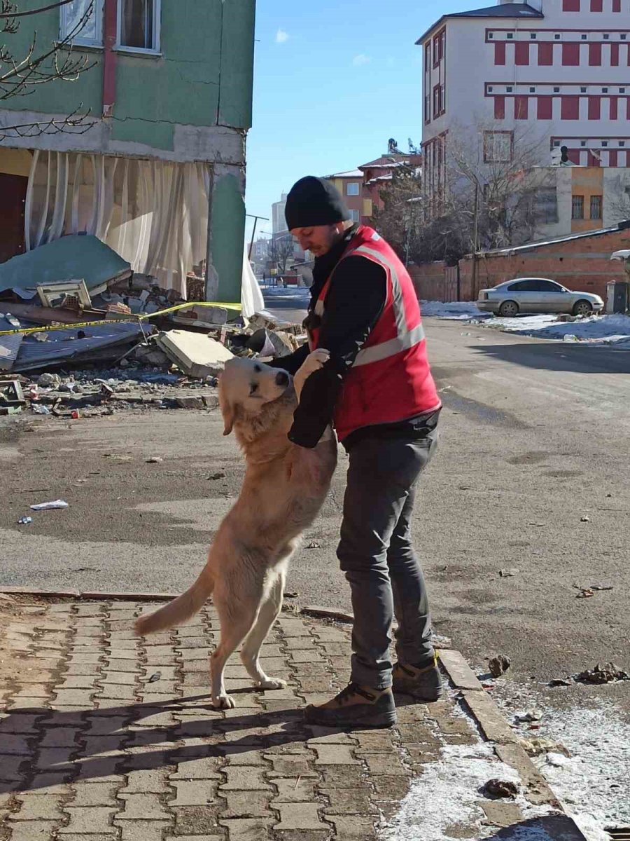 Konyaaltı Ekipleri, Deprem Bölgesinde Can Dostları Da Kurtardı