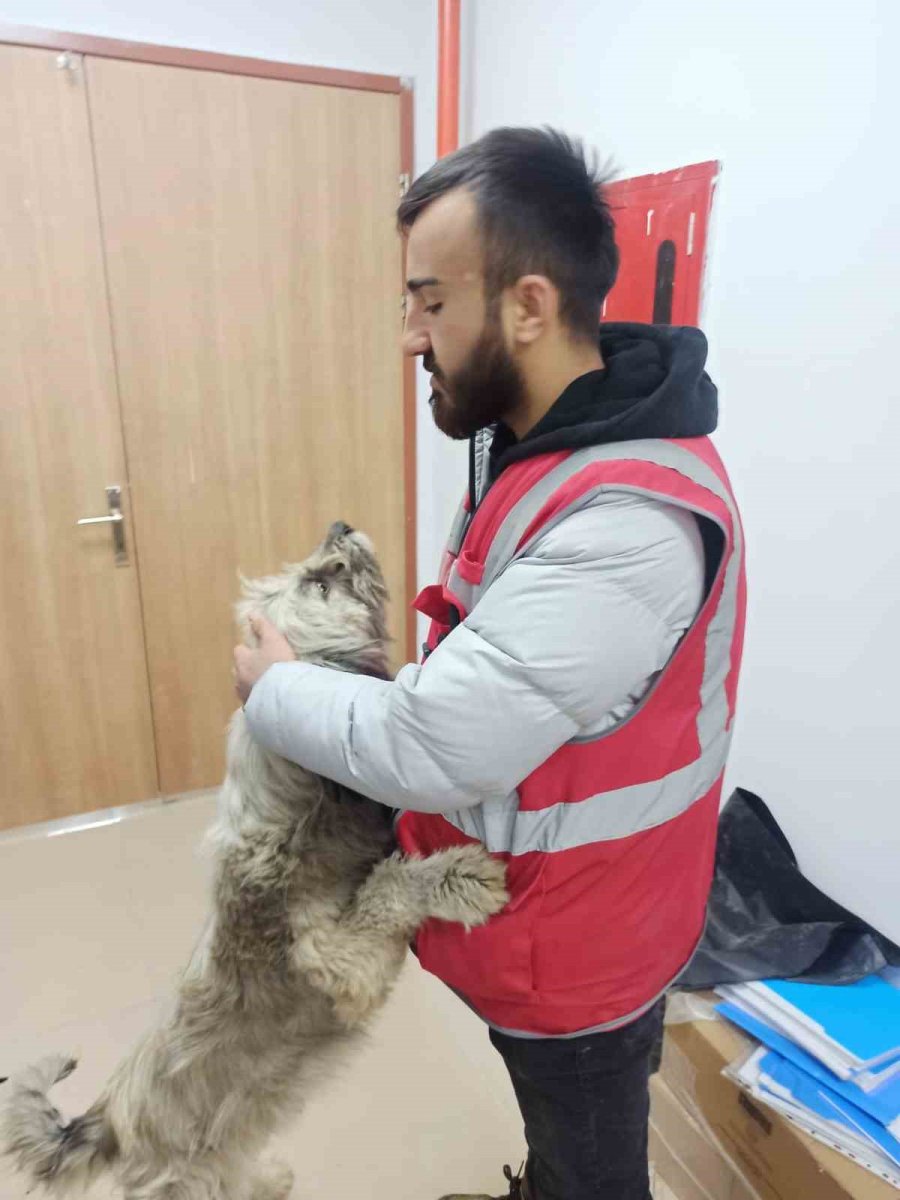 Konyaaltı Ekipleri, Deprem Bölgesinde Can Dostları Da Kurtardı