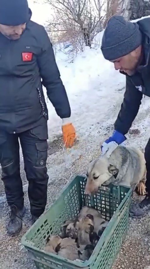 Konyaaltı Ekipleri, Deprem Bölgesinde Can Dostları Da Kurtardı