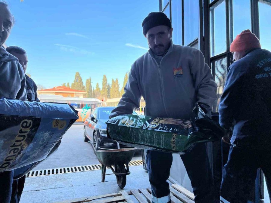 Zeytinburnu Belediyesi, “patili Dostları” Unutmadı